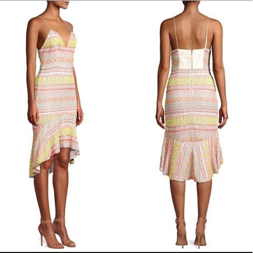 NEW Alice + Olivia Amina Embroidered Dress